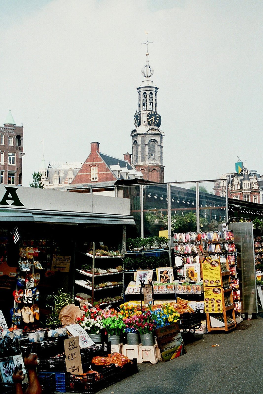 Flower Markets in Amsterdam: Bloemenmarkt and Neighborhood Options — Comparisons & lists
